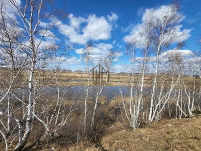 Продажа дачи Омский.&nbsp;Дружино с., СНТ Яблонька тер.&nbsp;14-я ал..,