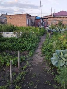 Продажа дома Черлакский.&nbsp;с. Иртыш.&nbsp;ул Береговая