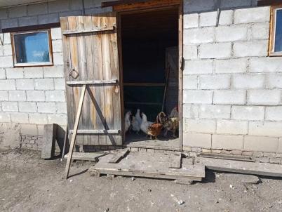 Продажа квартиры Омский р-н.&nbsp;Ребровка с.&nbsp;Хвойная ул, 20