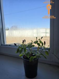Продажа дома Омск.&nbsp;территория СОСН Керамик Плюс