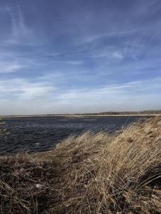 Продажа дачи муниципальный округ Омский р-н.&nbsp;СНТ Тепличный-1.&nbsp;-