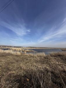 Продажа дачи муниципальный округ Омский р-н.&nbsp;СНТ Тепличный-1.&nbsp;-