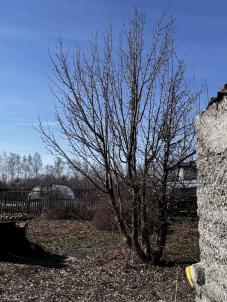 Продажа дачи Омский р-н.&nbsp;СНТ Северянка (разъезд Петрушенко) тер.&nbsp;-, 56