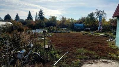 Продажа дачи Омск.&nbsp;снт железнодорожник