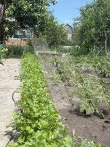 Продажа дачи Омск.&nbsp;Старый Кировск,