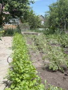 Продажа дачи Омск.&nbsp;Старый Кировск,