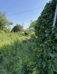 Продажа дачи Муниципальный округ Омского района.&nbsp;Фадино.&nbsp;тер сдт. Лилия (Фадино), 6