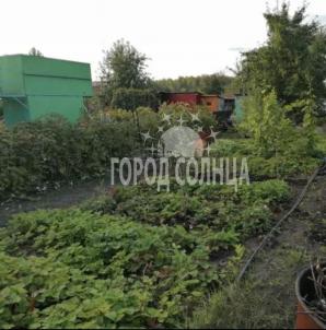 Продажа дачи Омск.&nbsp;Осташково, СНТ Шинник-3, 601