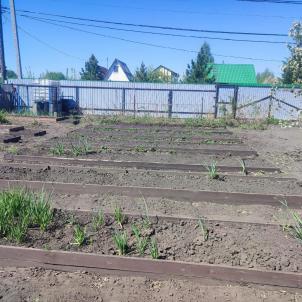 Продажа дома Омск.&nbsp;садоводческое некоммерческое товарищество Звёздочка 9-я аллея 284