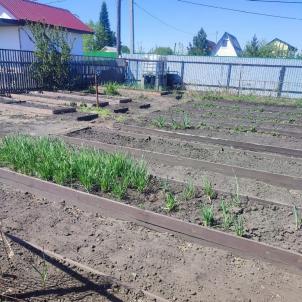 Продажа дома Омск.&nbsp;садоводческое некоммерческое товарищество Звёздочка 9-я аллея 284