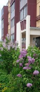 Продажа квартиры Омск.&nbsp;пр-д 3-й Амурский проезд, 5