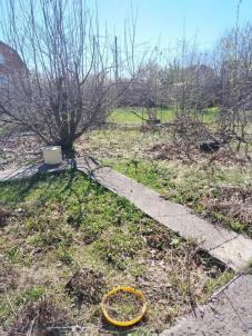 Продажа дачи Омск.&nbsp;-, 393
