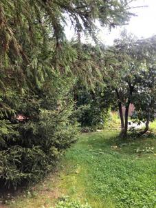 Продажа дачи Омск.&nbsp;аллея Степная, 6