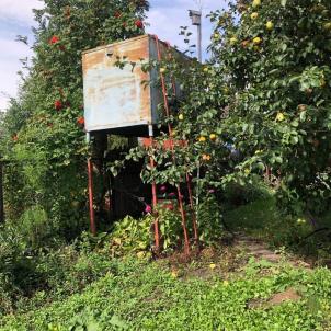Продажа дачи Омск.&nbsp;аллея Степная, 6
