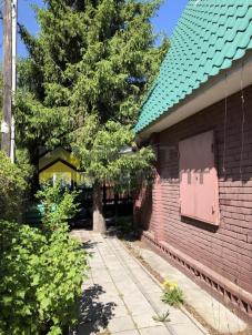 Продажа дачи Омск.&nbsp;г Омск, тер.СОСН Шинник-1, уч 8