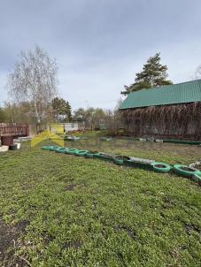 Продажа дома Шербакульский район.&nbsp;село Борисовское.&nbsp;улица Лесная, 10