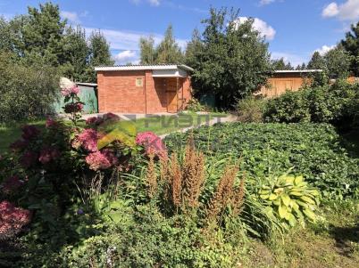 Продажа дачи Омск.&nbsp;г Омск, тер.СОСН Шинник-1, уч 8
