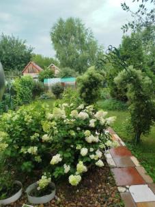 Продажа дачи Омск.&nbsp;СОСН Заря-1, 15-я аллея, 255