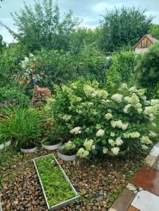 Продажа дачи Омск.&nbsp;СОСН Заря-1, 15-я аллея, 255
