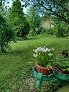 Продажа дачи Омск.&nbsp;СОСН Заря-1, 15-я аллея, 255