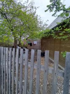 Продажа дачи СНТ Автомобилист, 13-я аллея