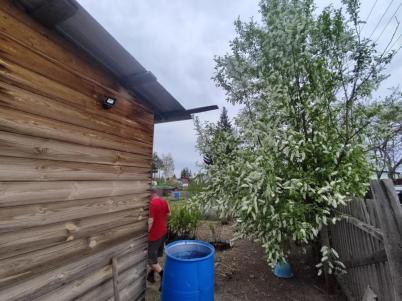 Продажа дачи СНТ Автомобилист, 13-я аллея