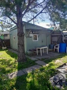 Продажа дачи Омск.&nbsp;СНТ Птицевод-3, ул. 2-я аллея