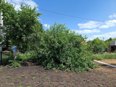 Продажа дачи Омск.&nbsp;