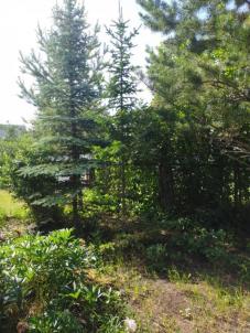 Продажа дачи Омск.&nbsp;СНТ Радуга-2, 4-я аллея, 16