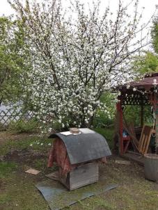 Продажа дачи Омск.&nbsp;СНТ Радуга-2, 2-я аллея, 29
