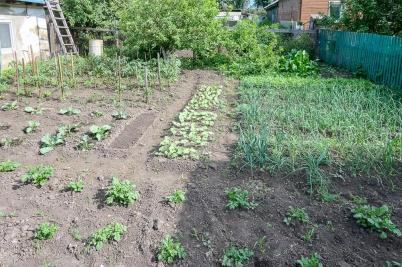 Продажа дома Омск.&nbsp;6-я Кировская ул, 29