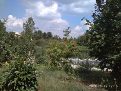 Продажа дачи СТСН Шинник