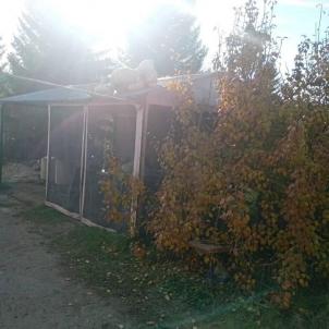 Продажа дачи СТСН Шинник