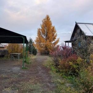 Продажа дачи СТСН Шинник
