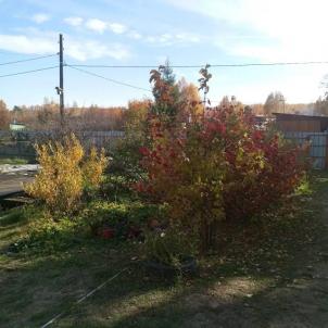 Продажа дачи СТСН Шинник