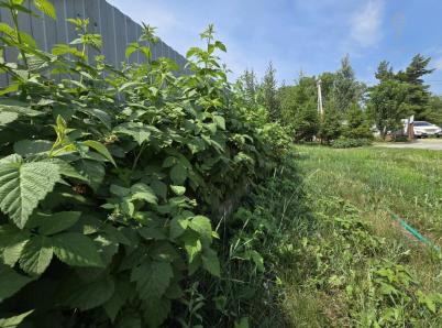 Продажа дома Борщевская