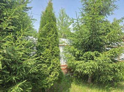 Продажа дома Борщевская