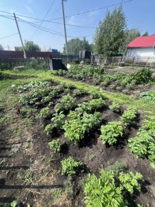 Продажа земли СНТ Красная гвоздика
