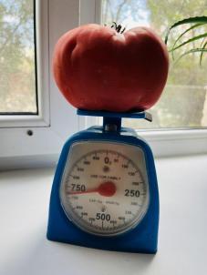 Продажа дома Ландыш