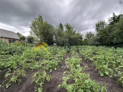 Продажа дома Омск.&nbsp;г Омск, тер.СОСН Сатурн (Центральный)