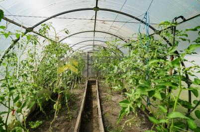Продажа дома Омск.&nbsp;г Омск, тер.СОСН Садовод, д 1