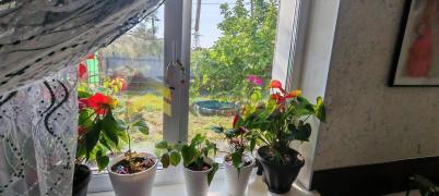 Продажа дома Омский.&nbsp;Троицкое.&nbsp;улица Новая, 1