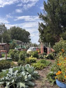 Продажа дачи Омск.&nbsp;СНТ Биолог, 402