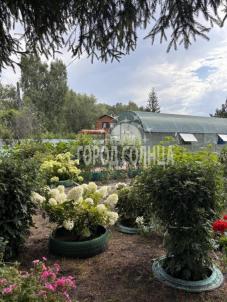 Продажа дачи Омск.&nbsp;СНТ Биолог, 402