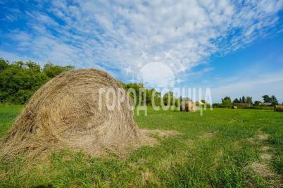 Продажа дома Майская, 42