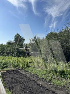 Продажа дачи Омск.&nbsp;СОСН Золотой Ранет, 4-я аллея, 183