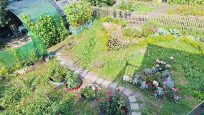 Продажа дачи Омск.&nbsp;сосн шинник-3