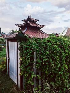 Продажа дачи Омск.&nbsp;сосн шинник-3