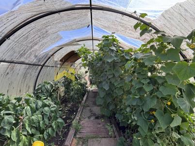 Продажа дома Омск.&nbsp;г Омск, тер.СОСН Иртыш-2, д 5