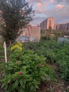 Продажа дома Омск.&nbsp;Омская область, Омск, территория СОСН Патриот, 241